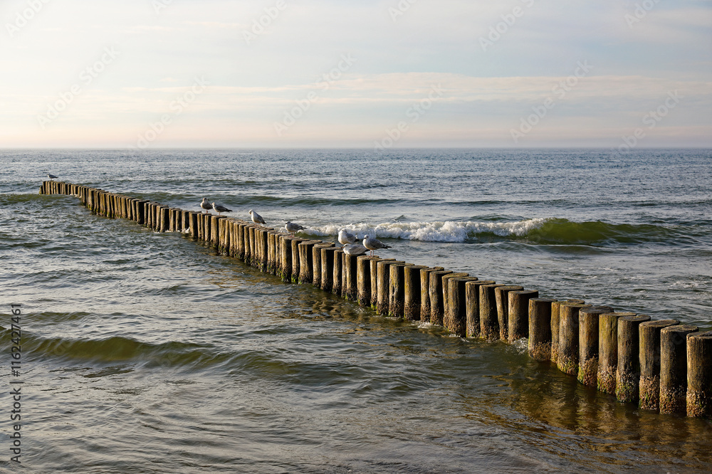 The coast with wooden breakwaters, Ustronie Morskie, West Pomerania, Poland The coast with wooden breakwaters, Ustronie Morskie, West Pomerania, Poland