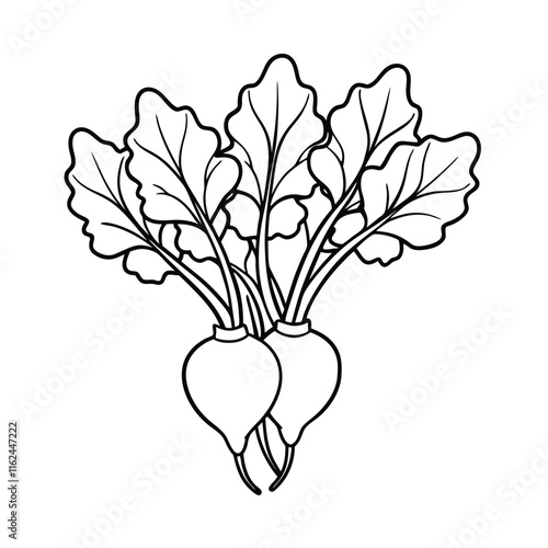 Coloring page. Composition of different vegetables on white background