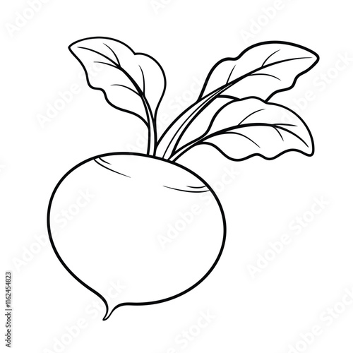 Coloring page. Composition of different vegetables on white background