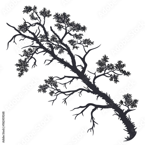 Lichen Growth vector silhouette black design white background