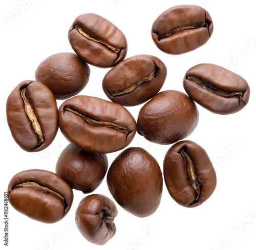 Wallpaper Mural Rich Roasted Coffee Beans Torontodigital.ca