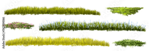 set of grass, Vertor set of spring blossom tree,blooming plants side view  for landscape elevation and section,eco environment concept design,watercolor shrub illustration,colorful season