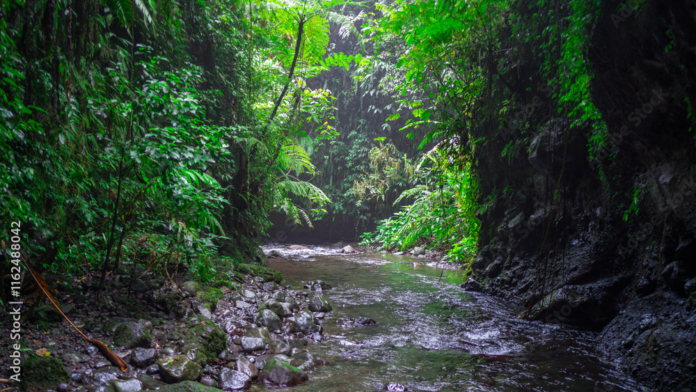 Rocky creek with flowing water nestled in the heart of a dense, green tropical forest and mossy canyon walls Rocky creek with flowing water nestled in the heart of a dense, green tropical forest and mossy canyon walls