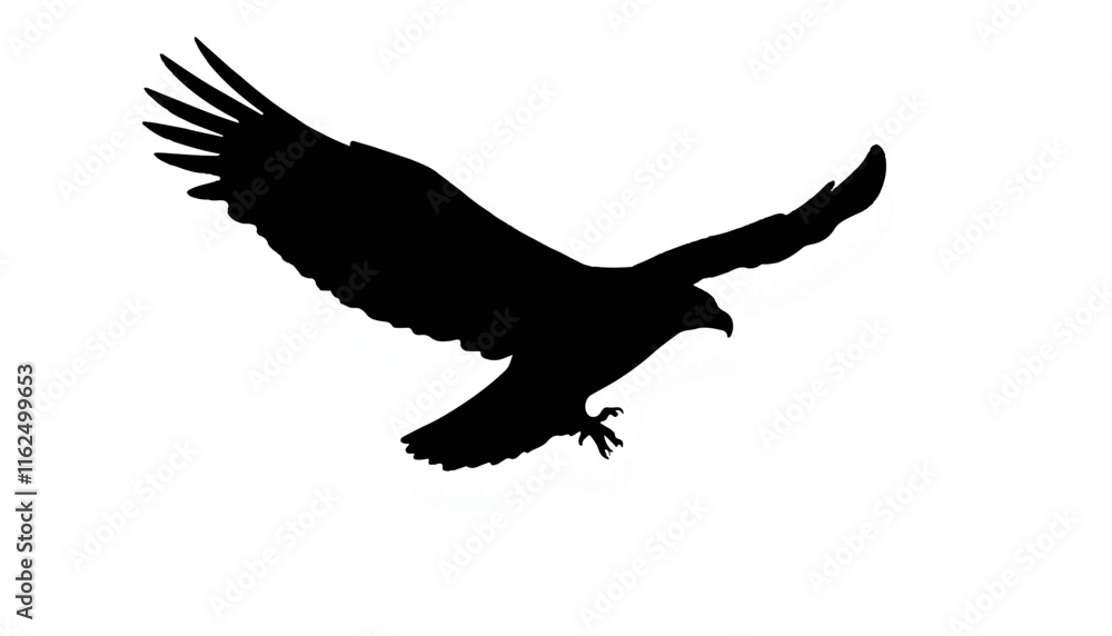Fototapeta premium Eagle silhouette soaring against white background
