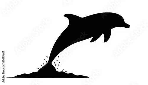 Dolphin jumping out of water