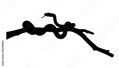 Silhouette of a snake coiled on a branch