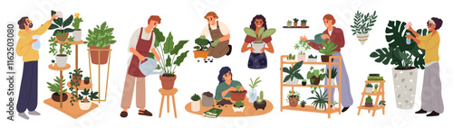Cartoon people take care of indoor plants. Home gardening. Man watering houseplant in greenhouse. Woman transplanting ficus into flowerpot. Gardeners prune flowers. Garish vector set