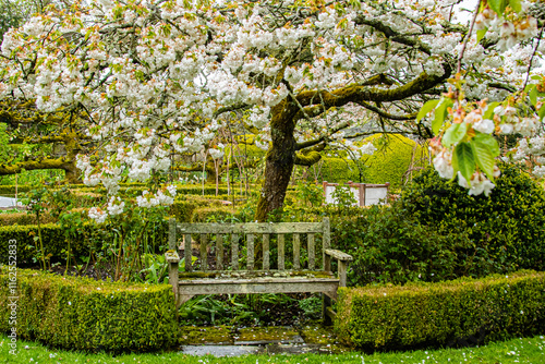 eine Holzbank im japanischen Garten an der englischen Küste photo