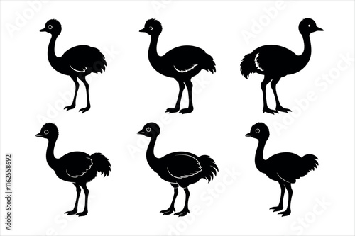 Set of Black and White Ostrich Silhouettes vector design photo