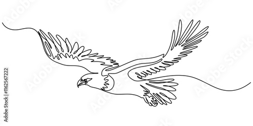 An eagle soars in the sky with its wings spread wide. A large bird of prey flies in the air. one continuous line, One single line of eagle isolated on white background, Bird of prey flying continuouse
