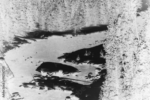 snow in the forest along the river in black and white film negative