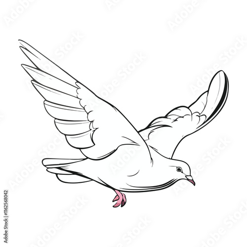 Pigeon flying isolated on white background, png