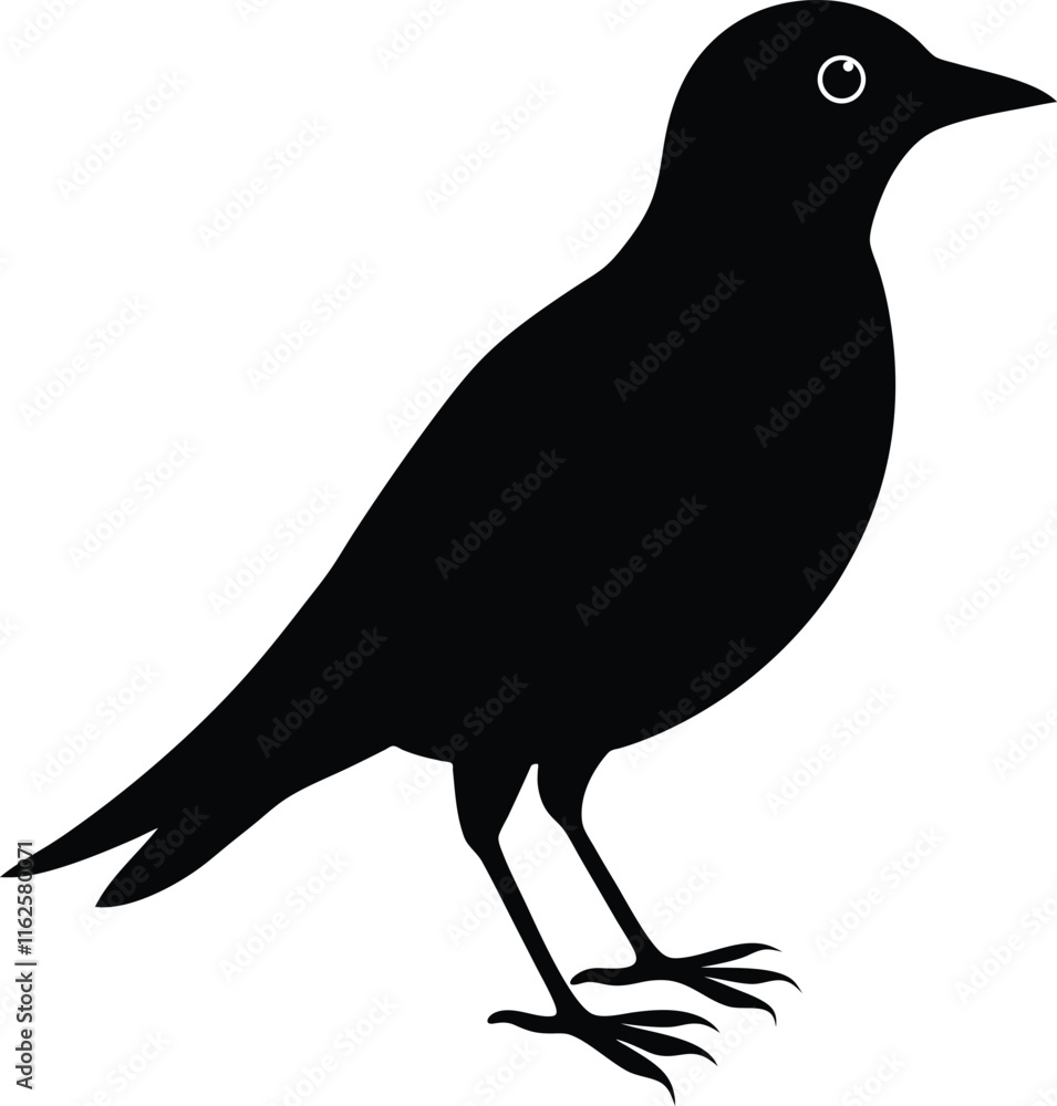 Fototapeta premium Silhouette vector of a bird