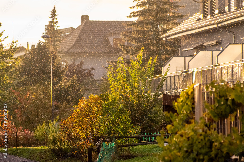 Naklejka premium A charming rural landscape in Switzerland