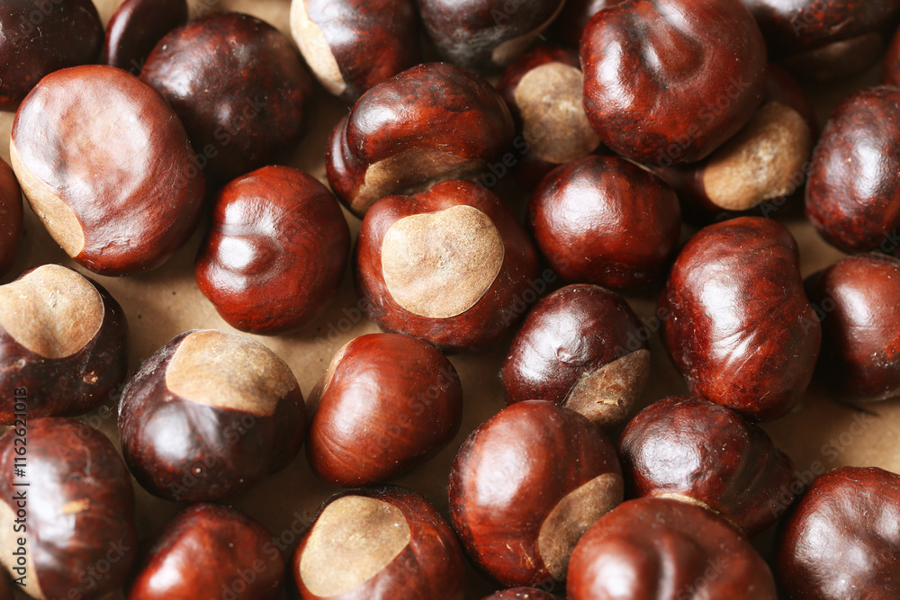Chestnut texture on a brown background. Shiny autumn chestnuts symbolizing fall. Warm seasonal backdrop. Natural harvest decoration. Forest inspired autumn theme. Shiny wooden look tree fruit. Chestnut texture on a brown background. Shiny autumn chestnuts symbolizing fall. Warm seasonal backdrop. Natural harvest decoration. Forest inspired autumn theme. Shiny wooden look tree fruit.