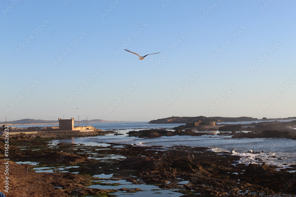 Φωτογραφία Vue du port de Essaouira et la plage au coucher de soleil au maroc