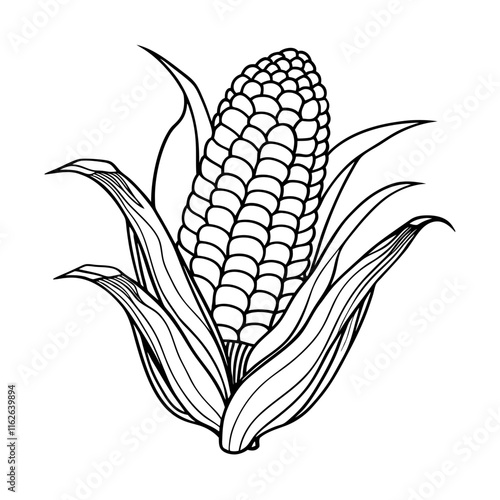 corn on the cob, black and white illustration, botanical drawing, detailed kernels, stylized corn husk, vintage engraving style, high contrast, symmetrical composition, agricultural icon, vector graph