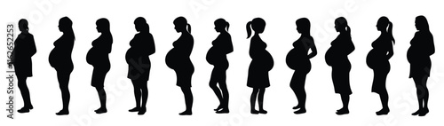 A set of pregnant woman vector silhouette