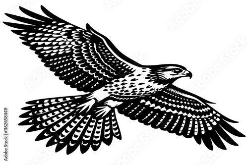 Large Ferruginous Hawk in flight with blue sky background