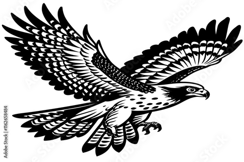 Large Ferruginous Hawk in flight with blue sky background