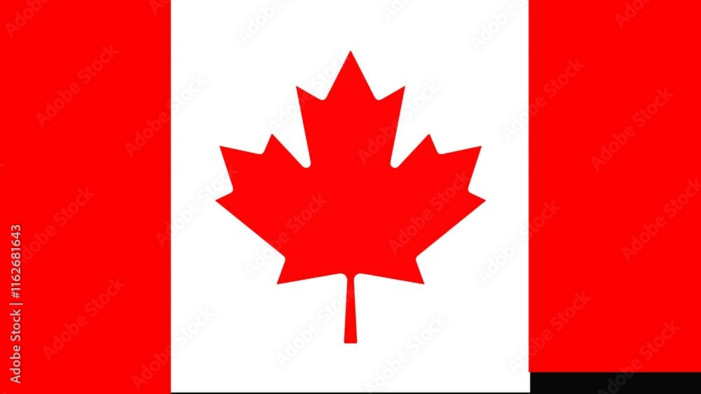 Canadian Flag Transition. Animated national flag of Canada. A Canadian flag that appears and disappears. Canadian Flag Transition. Animated national flag of Canada. A Canadian flag that appears and disappears.