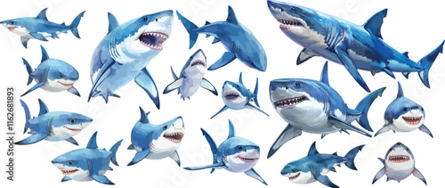 shark watercolor clipart