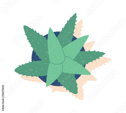 Potted aloe vera plant vector illustration