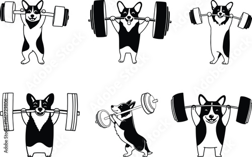 Welsh Corgi dog lifting a barbell set silhouette vector, Welsh Corgi dog lifting a barbell line art vector illustration