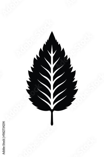 Tree leaves   isolated on white background. black silhouettes of leaves vector. Tropical exotic leaves 