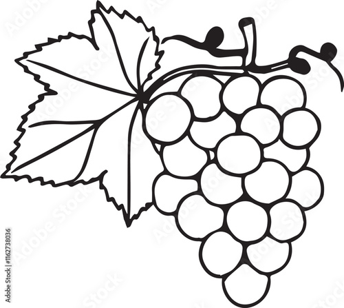 bunch of grapes with leaves