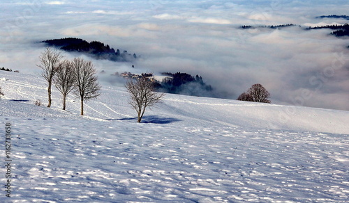 Horben bei Freiburg ragt aus dem Nebel photo