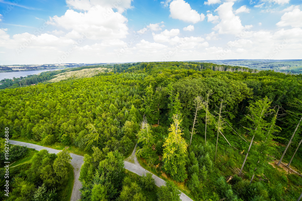Fototapeta premium View from the observation tower at Möhnesee of the surrounding green landscape. Nature at Möhnesee. 