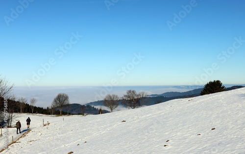 Winterspaziergang auf dem Geiersnest bei Freiburg photo