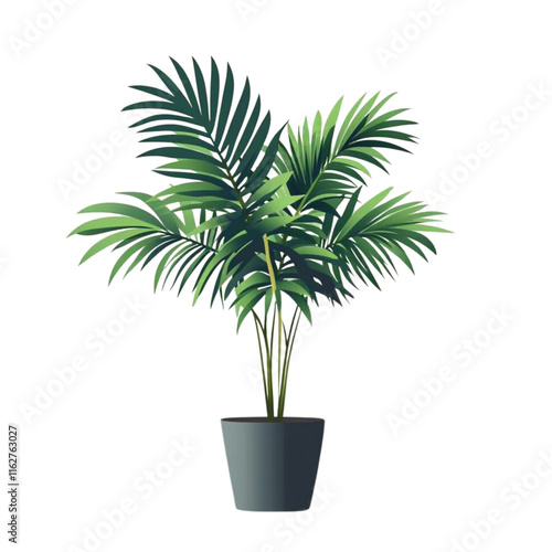 palm tree isolated on white background