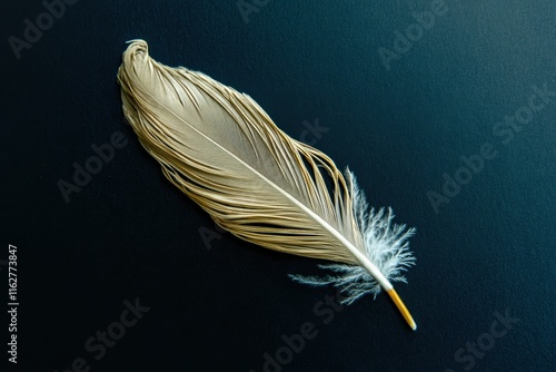 Minimalist composition featuring a white feather quill on a slate surface with a black background photo