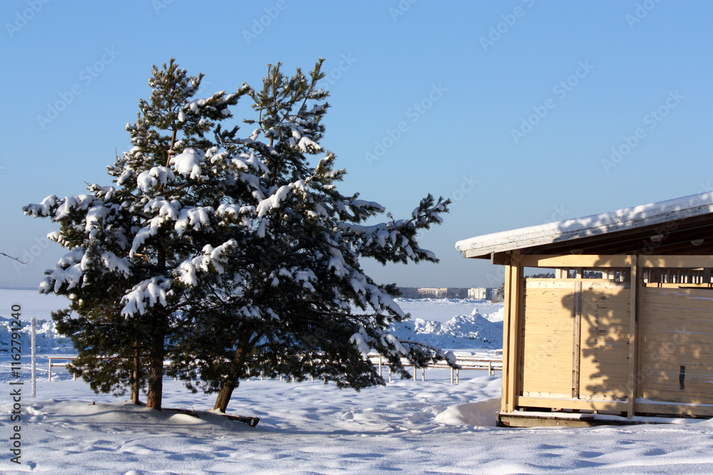 winter landscape with wooden building and coniferous trees winter landscape with wooden building and coniferous trees