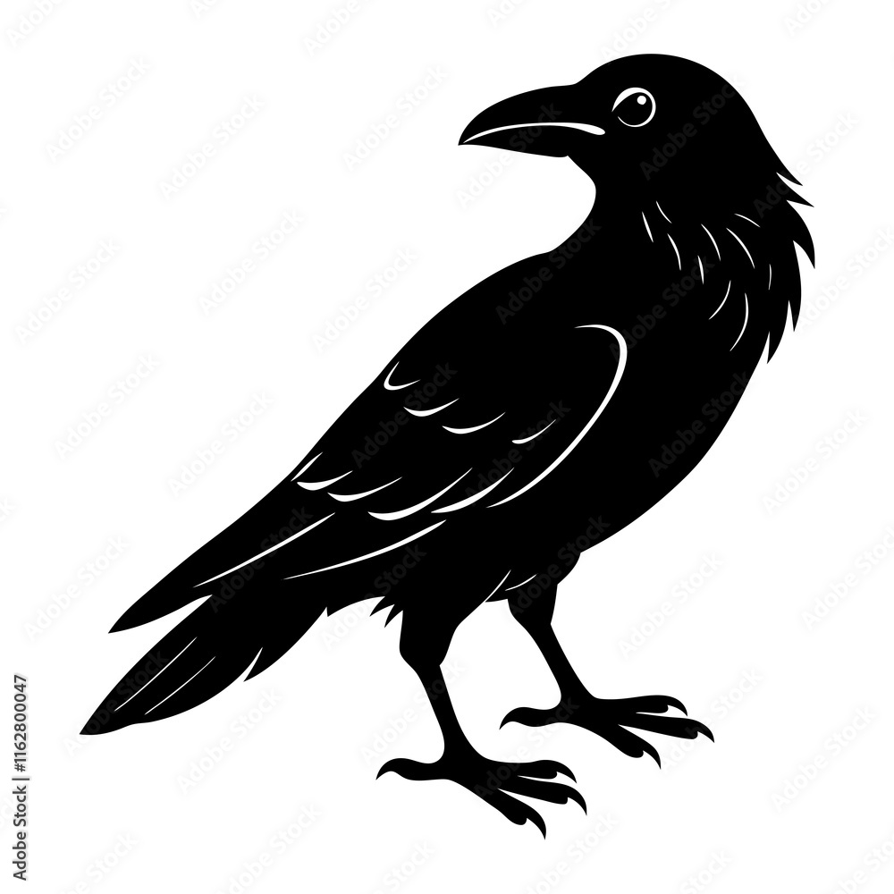 Fototapeta premium Crow Silhouette vector silhouette