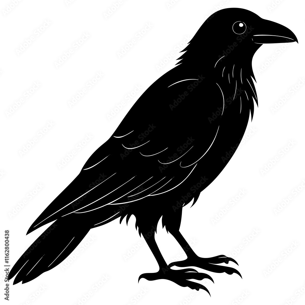 Obraz premium Crow Silhouette vector silhouette