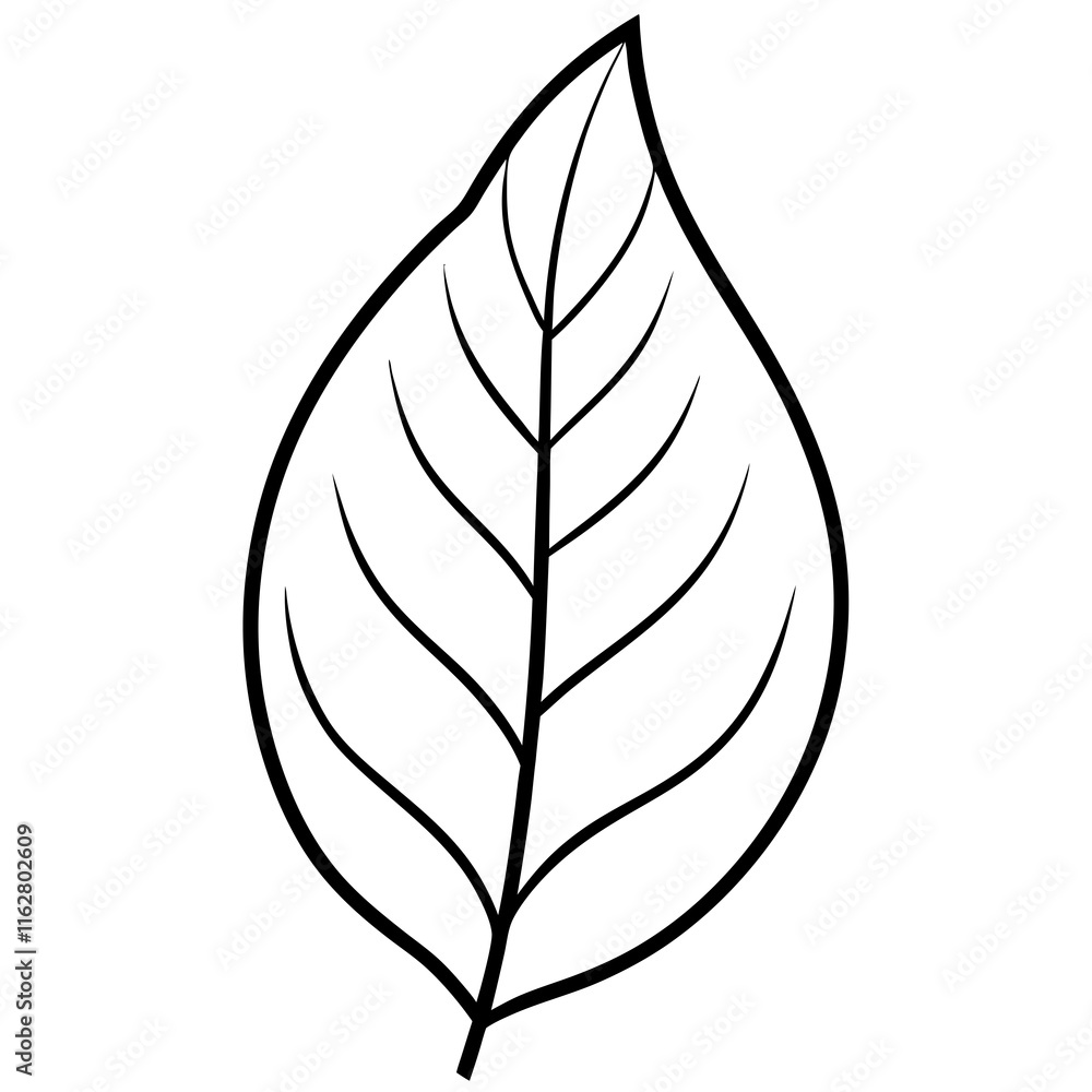 Fototapeta premium Hand-Drawn Leaf Line Art
