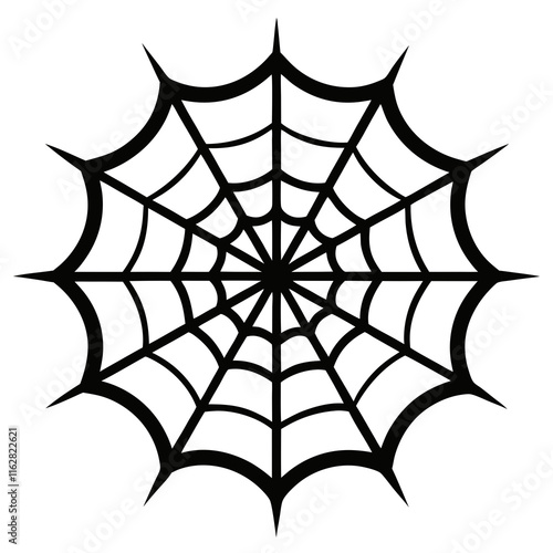 spider web