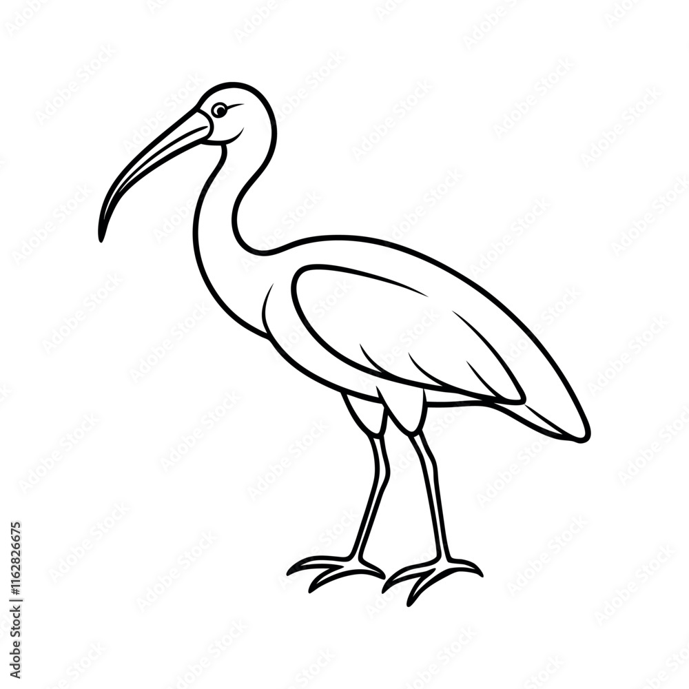 Minimalist Line Drawing Of Ibis Illustration.Ibis Line Drawing Simple Illustration Minimalist Line Drawing Of Ibis Illustration.Ibis Line Drawing Simple Illustration