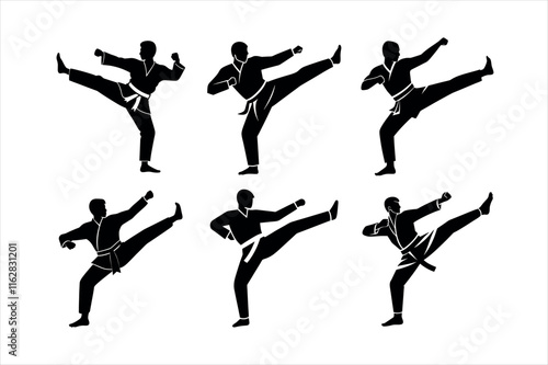 Karate Practitioners in Dynamic Kicks and Punches