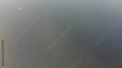 Wallpaper Mural Soaring above the calm waters of a lake surrounded by verdant mountains Torontodigital.ca