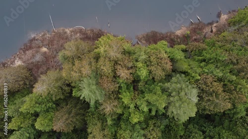 Wallpaper Mural A cloudy day’s charm: flying over a serene lake surrounded by nature Torontodigital.ca