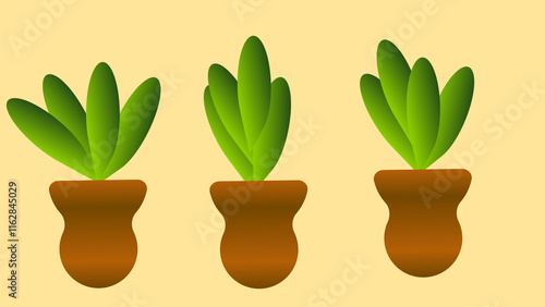 Indoor Plants image for Decor