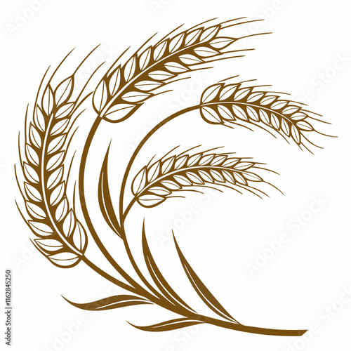 ears of wheat