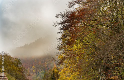 Beau paysage automnal à Sewen, au Ballon d'Alsace. photo