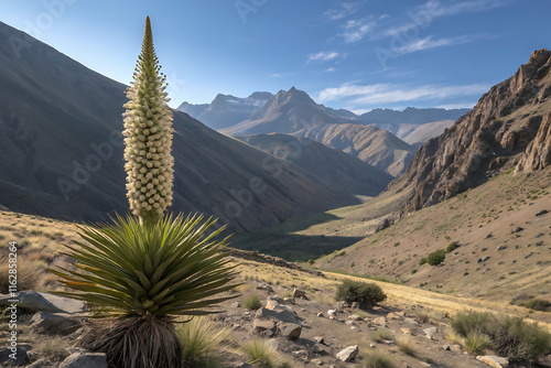 Queen of the andes puya raimondii in mountainous landscape. photo