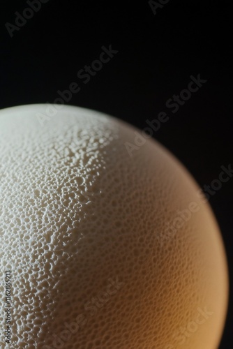 Close-up of a textured, off-white sphere against a dark background.