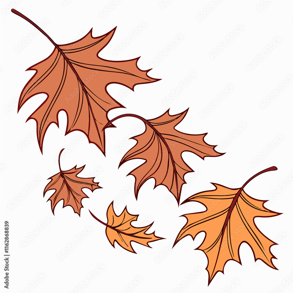 Obraz premium autumn maple leaves